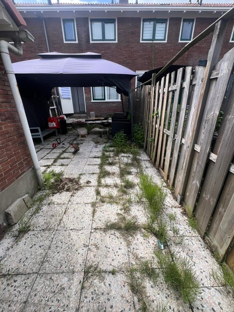 Tuinonderhoud & Tegelreiniging Tuinman Hovenier, Tuin en Terras, Gras en Kunstgras, Ophalen of Verzenden, 20 m² of meer