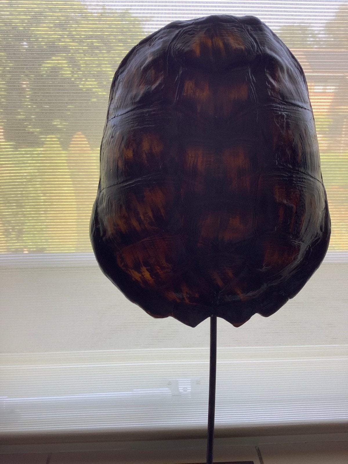 Schilpad schild decoratie, Ophalen, Zo goed als nieuw, Rond, Hout
