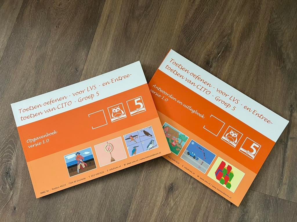 Citotoets, LVS en entreetoets oefenboek groep 5, Ophalen of Verzenden, Boek of Tijdschrift