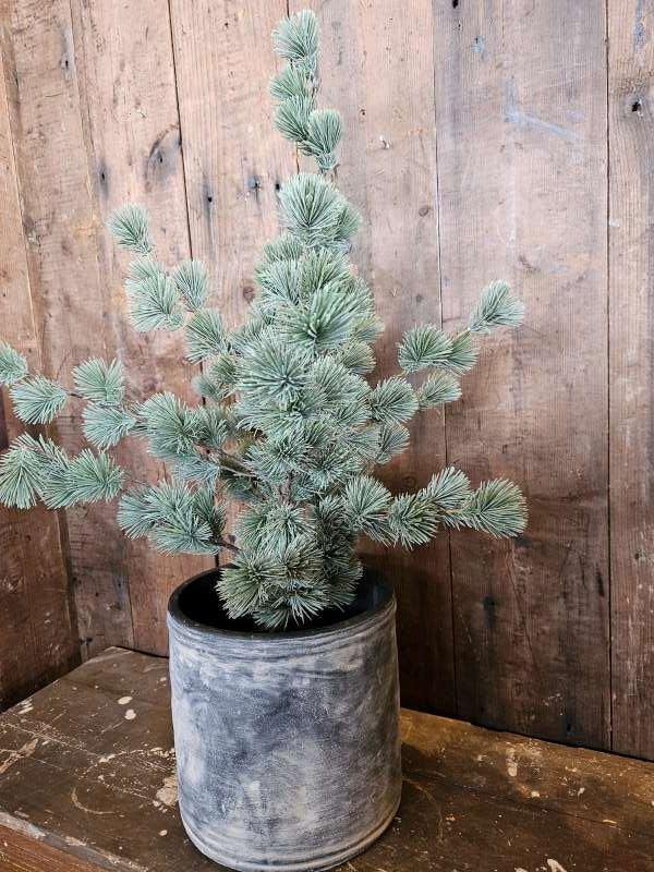 nobilis kerstboom``WOONWINKEL RUSTIEK``, Ophalen of Verzenden