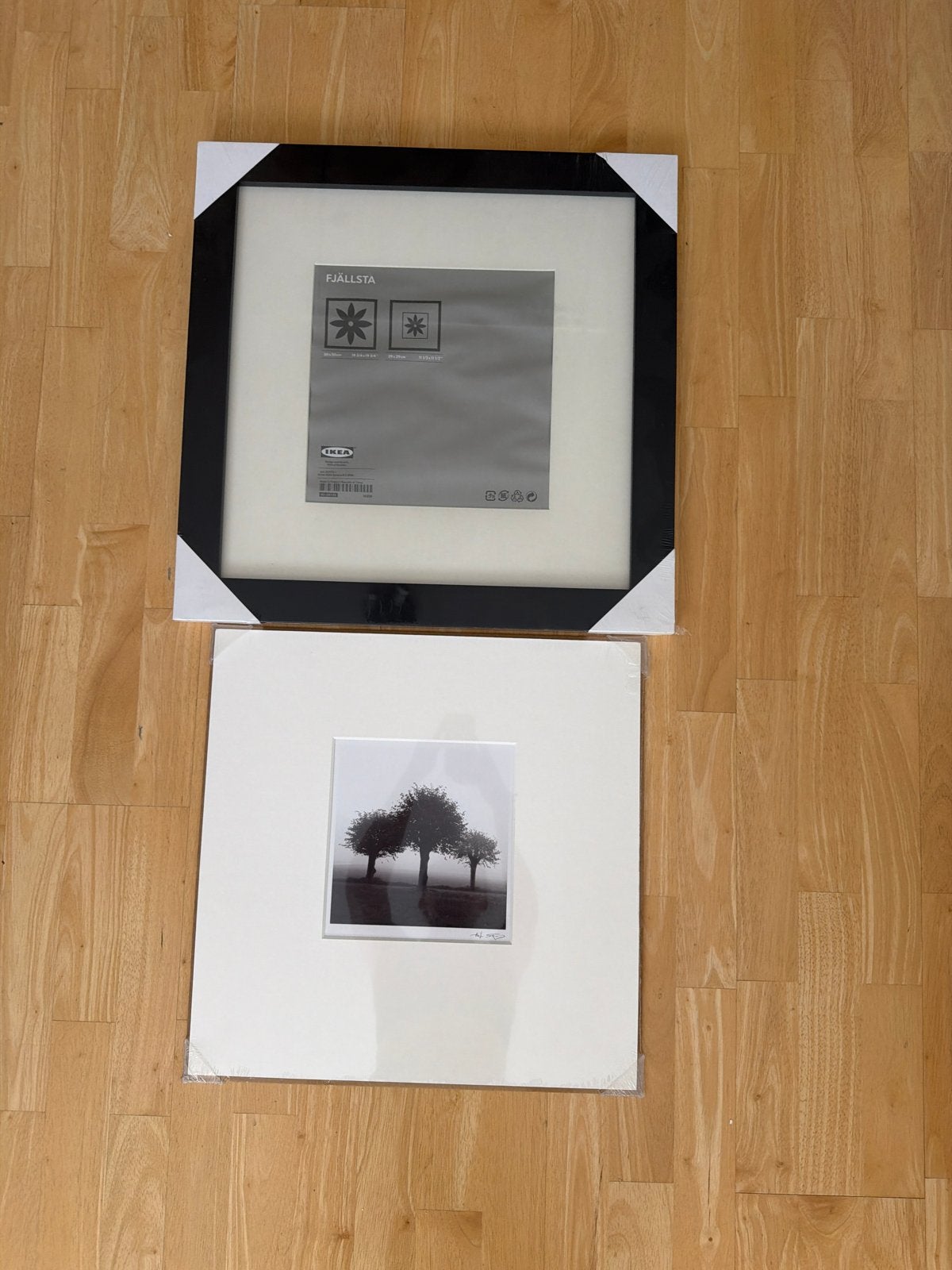 Nieuwe IKEA FJÄLLSTA lijst met passe-partout, Ophalen, Nieuw, Fotolijst, Hout