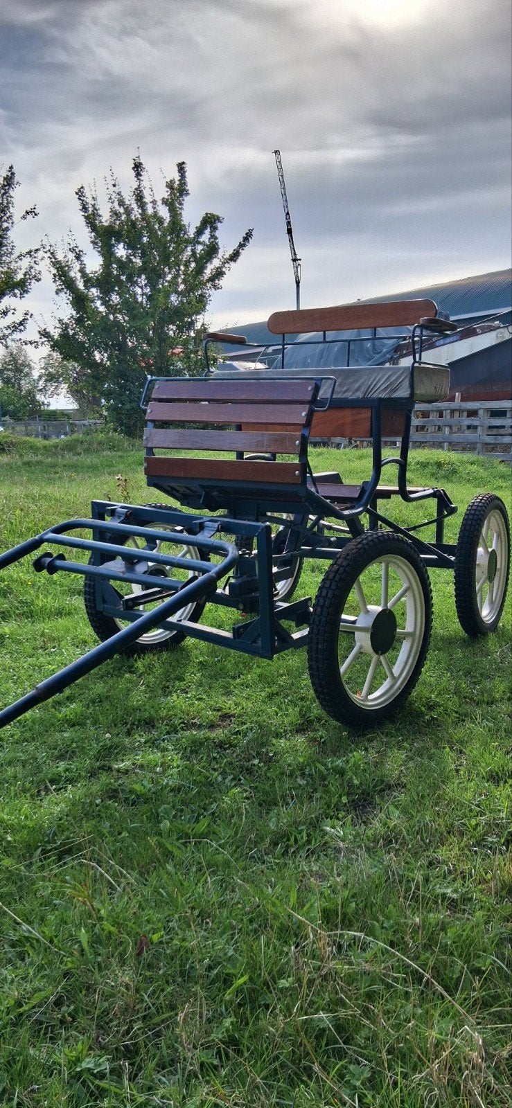 mooie menwagen, Dieren en Toebehoren, Overige typen, Paard of Pony