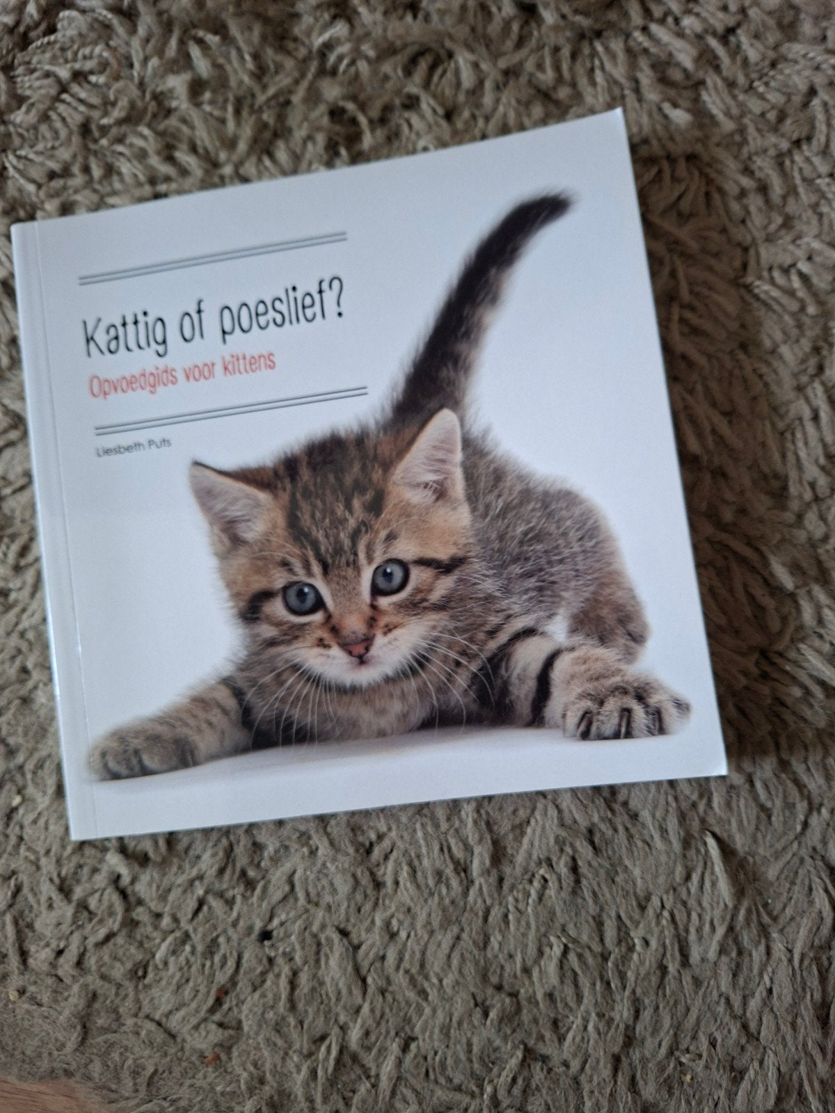 liesbeth Puts ...kattig of poeslief opvoedgids voor y, Ophalen, Nieuw