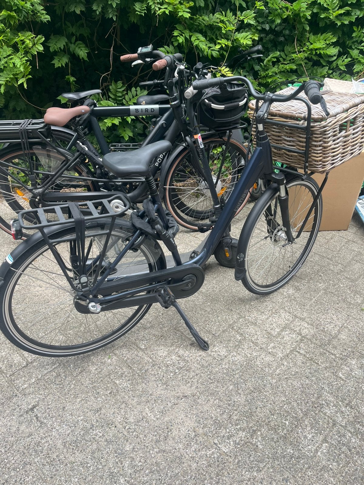 Fiets, Fietsen en Brommers, Ophalen, Nieuw