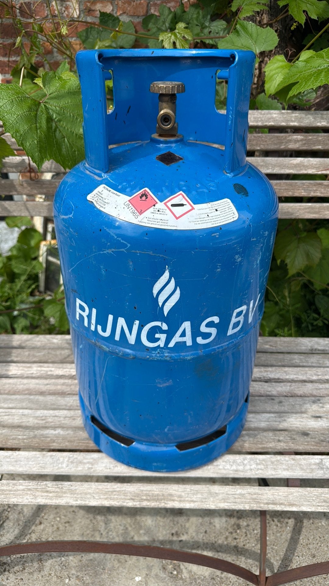 ≥ Rijngas propaan gasfles - Leeg (m2405929900) — Gasbarbecues