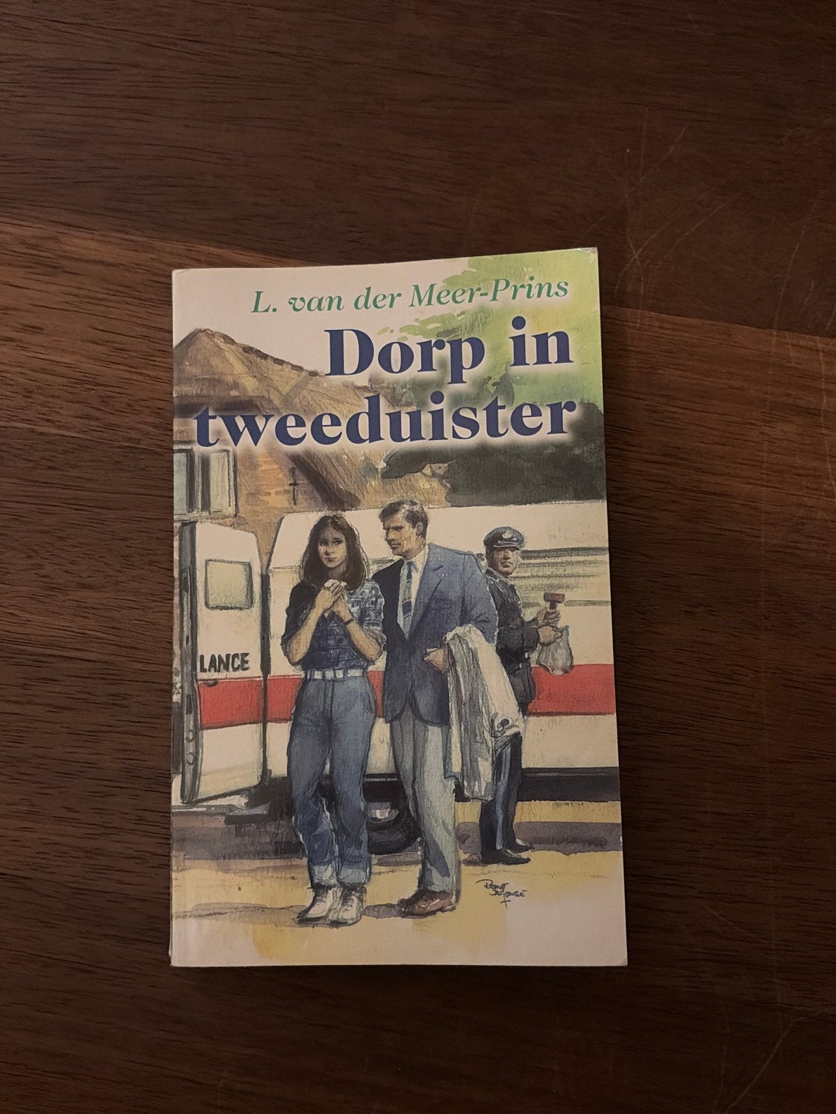 Dorp in tweeduisternis - L. van der Meer-Prins, Ophalen, Gelezen