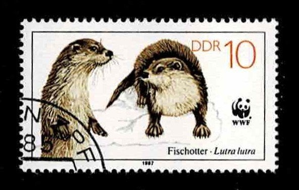 postzegel 2732 DDR dieren Visotter, Ophalen of Verzenden, DDR, Gestempeld