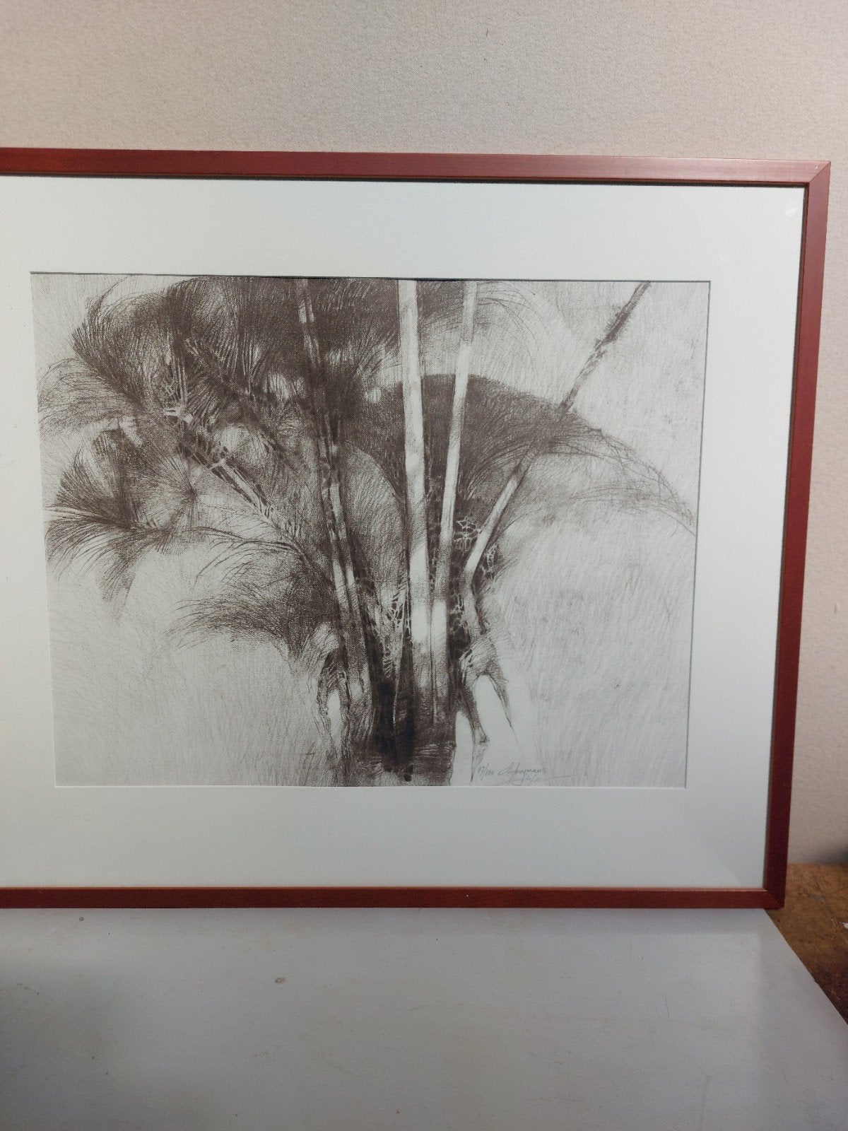 Ab Hooymans - Palmbomen - Gesigneerde ets 87/100, Antiek en Kunst, Kunst | Tekeningen en Foto's, Ophalen