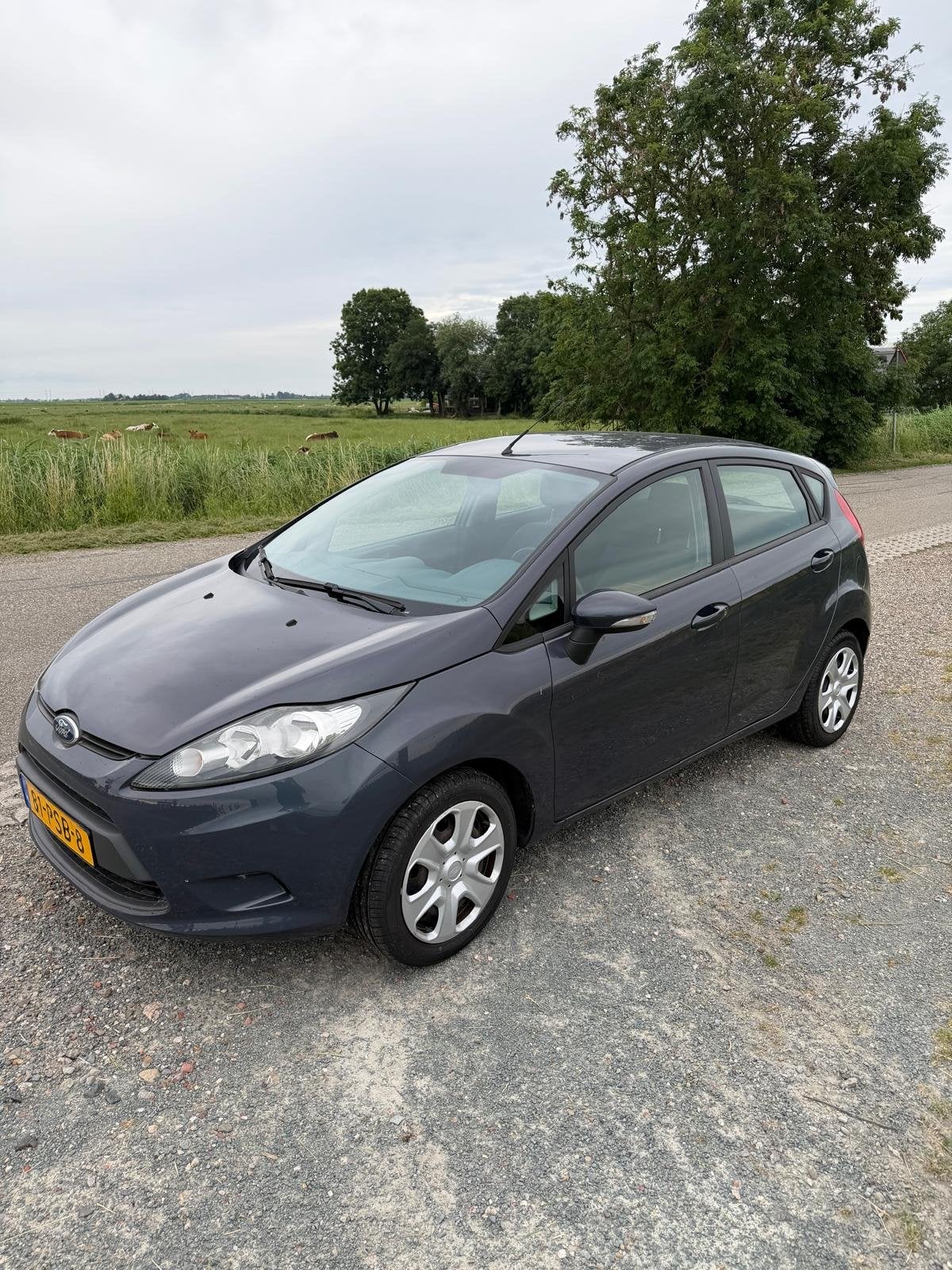 Ford Fiësta 1.25 44KW 5DR 2011 Grijs 88.140km, Auto's, Ford, Voorwielaandrijving, 40 €/maand, 1242 cc, 4 cilinders