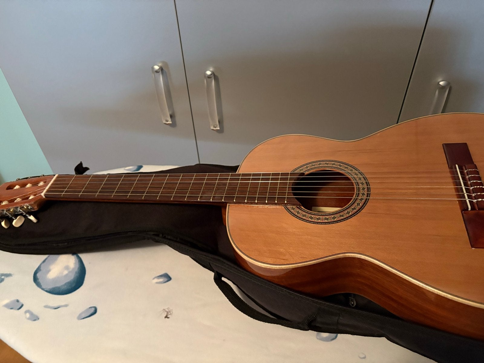 Juan Salvador Modelo Chica Klassieke Gitaar met hoes, Muziek en Instrumenten, Ophalen, Zo goed als nieuw, Klassieke of Spaanse gitaar