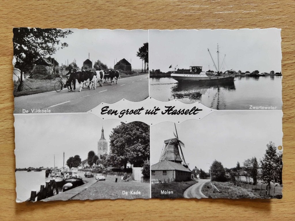 ansicht HASSELT molen kade koeien meerluik, Ophalen, Voor 1920, Overijssel