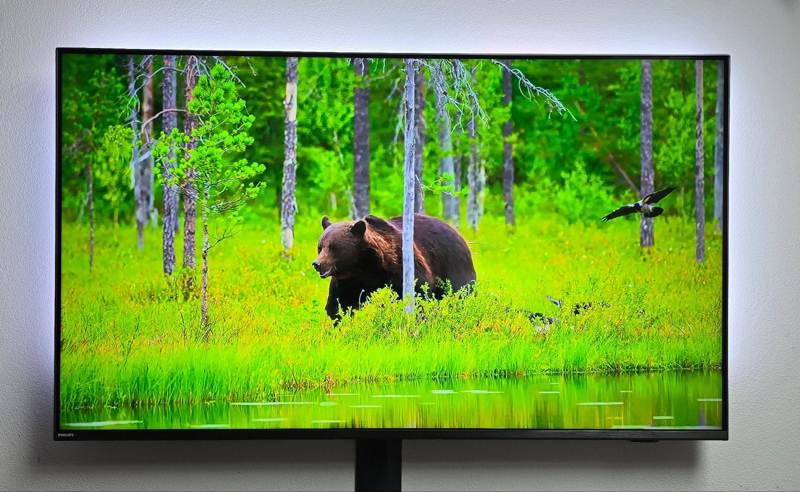 Philips 50PUS8546/12 – 50 inch 4K Ambilight Smart TV, Ophalen, Philips, LED, 50 Hz