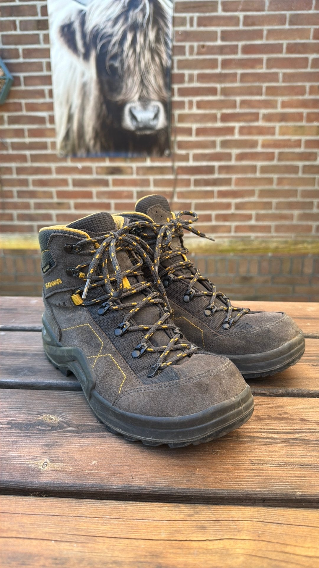 Lowa Wandelschoenen, Ophalen of Verzenden, Gebruikt, Schoenen