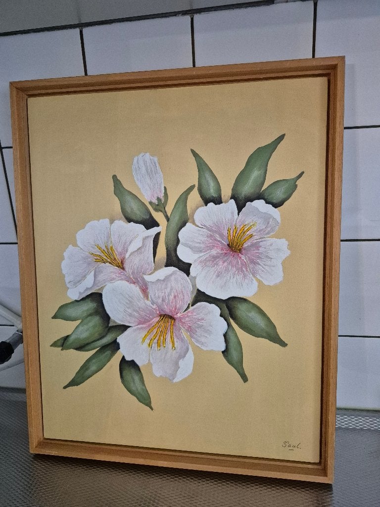 Schilderij met bloemen - gesigneerd Saul, 50 – 75, Gebruikt, Oorspronkelijke maker, Ophalen of Verzenden