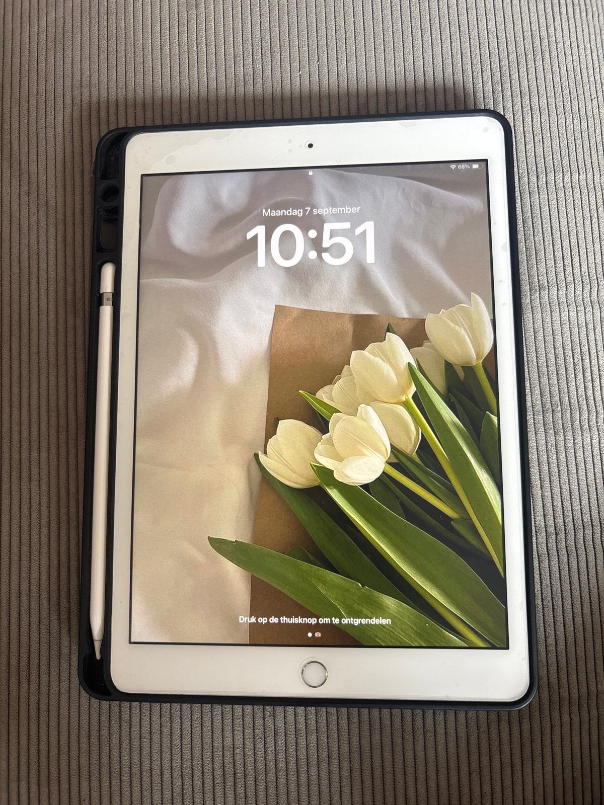 iPad 7e generatie 32GB met Apple Pencil 1e generatie, Computers en Software, Ophalen, Gebruikt, 32 GB, Apple iPad