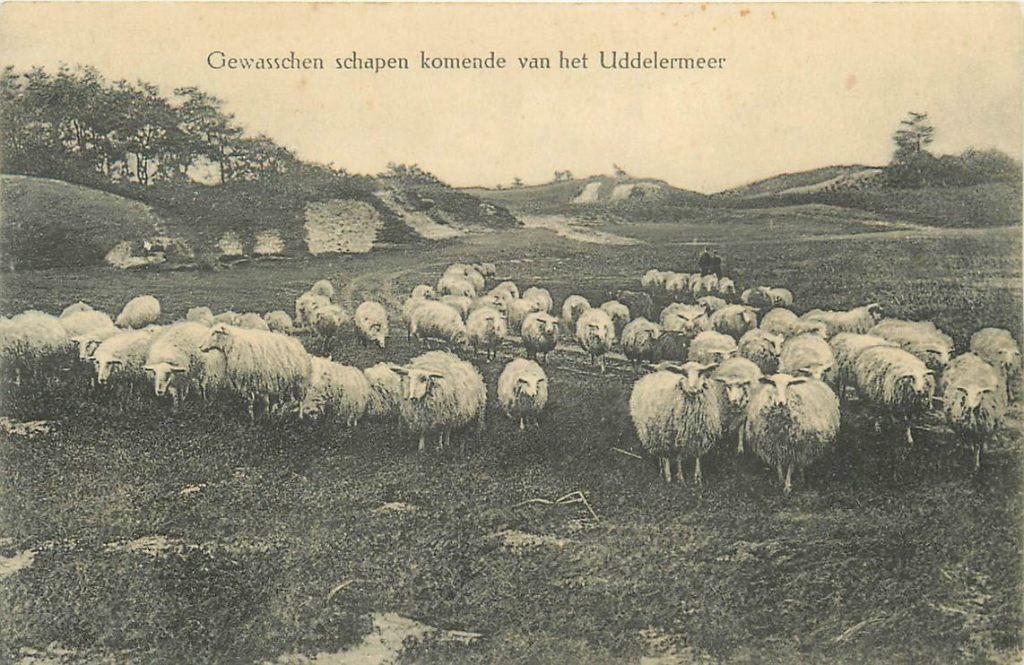 701-288-043 Uddelermeer, Verzenden, Voor 1920, Gelderland