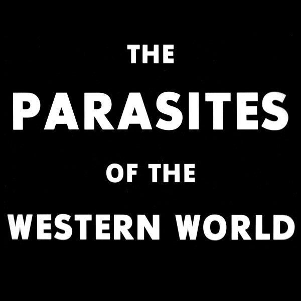the parasites of the western world/same-electronic-ZELDZAAM, LP, Gebruikt, Verzenden, Punk Rock