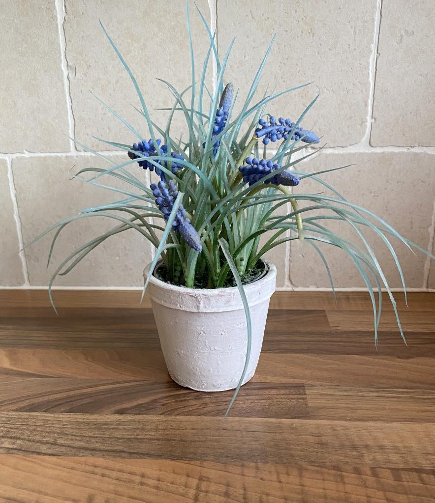 kunstplantje Blauwdruifje, bloembakje, mintgroen bloempotje, Ophalen of Verzenden, Zo goed als nieuw, Binnen