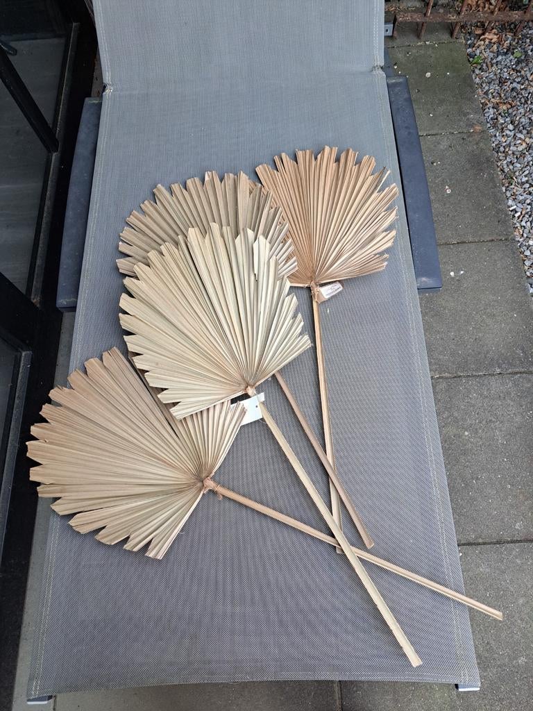Waaier decoratie takken OPRUIMING, Ophalen, X, X, X