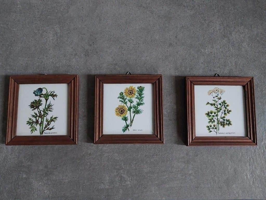 Vintage botanische tegeltjes, Minder dan 50 cm, Gebruikt, Overige typen, Ophalen of Verzenden