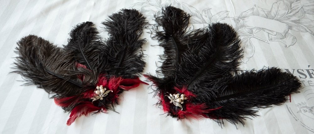 Twee x 3 Struisvogel veren met Broches, Kleding | Dames, Carnavalskleding en Feestkleding, Gedragen, Accessoires, Historisch, Maat 38/40 (M)