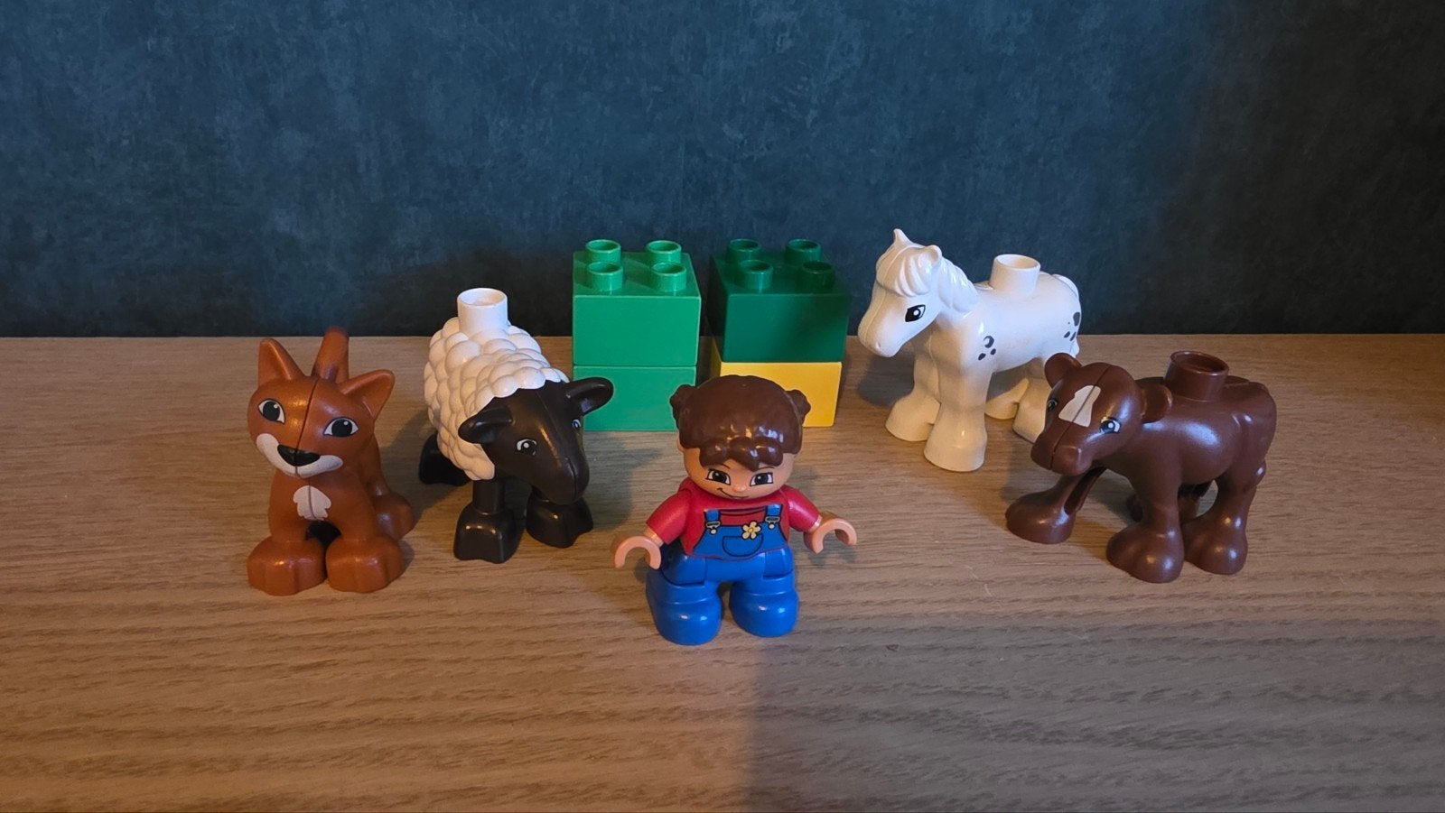 Duplo Dierenverzorging 5646, Kinderen en Baby's, Speelgoed | Duplo en Lego, Inclusief minifiguren, Gebruikt, Ophalen of Verzenden