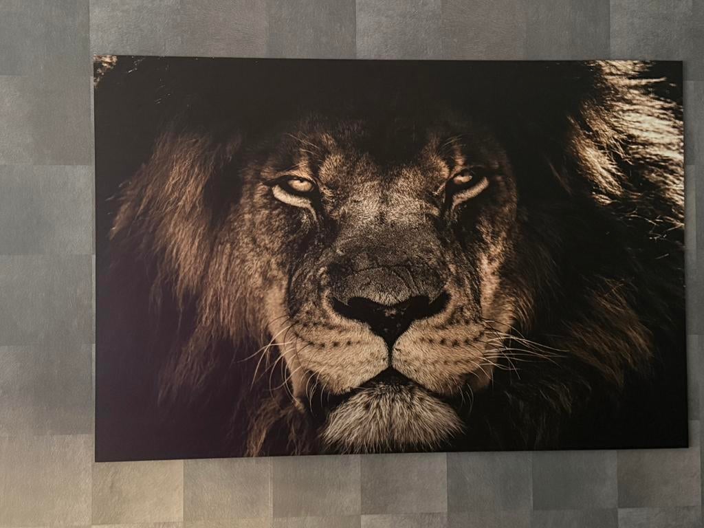 Aluminium fotolijst leeuw 120x80, Audio, Tv en Foto, Fotografie | Fotolijsten, Ophalen, Zo goed als nieuw