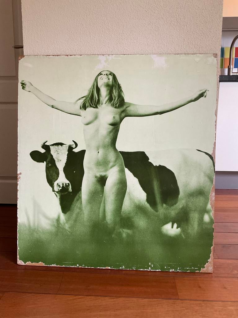 Zeldzame originele PSP bushokjes verkiezingsposter 1971, Ophalen, Deurposter of groter, Overige onderwerpen, Rechthoekig Staand
