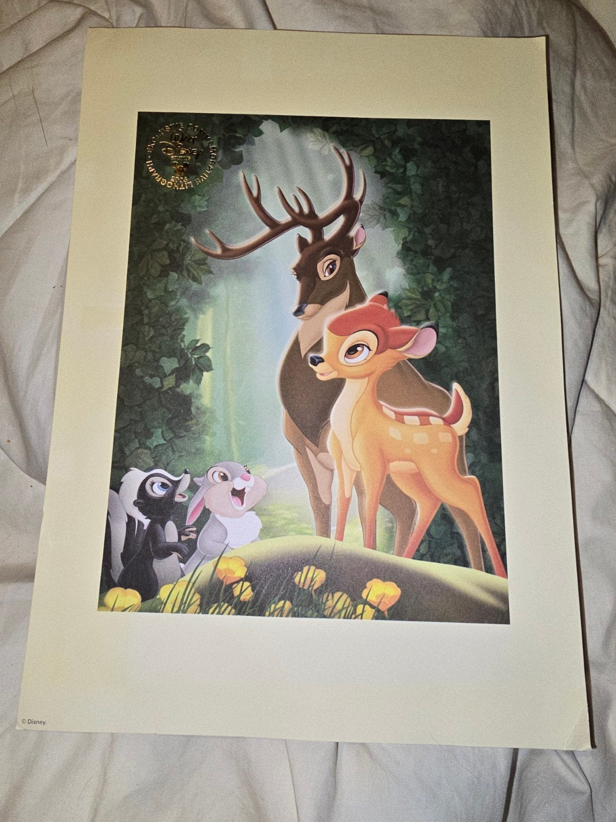 Disney Bambi en stampertje, Exclusieve Herdenkingslithografi, Ophalen of Verzenden, Dieren en Natuur, Lithografie, Gestempeld