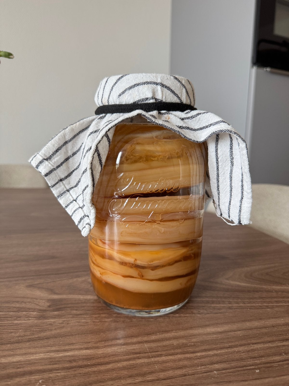 Kombucha Scoby, Ophalen