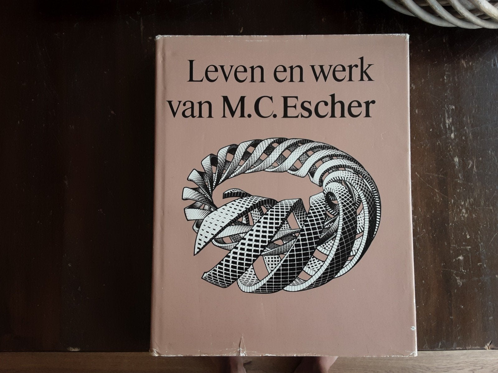 Leven en werk van M.C. Escher., Ophalen of Verzenden, Zo goed als nieuw, Architecten