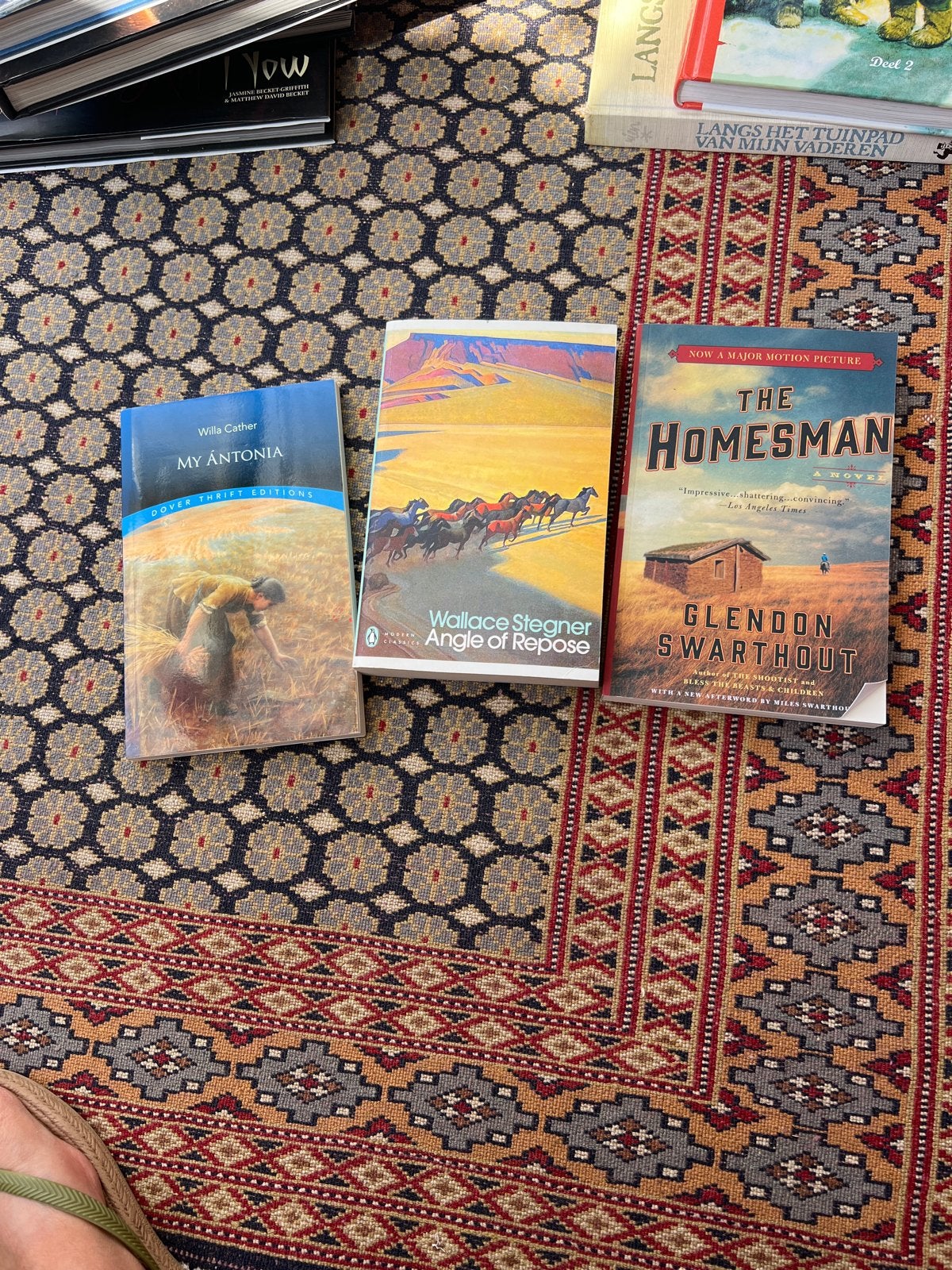 3 Engelse boeken: My Antonia, Angle of Repose, The Homesman, Ophalen of Verzenden, Gelezen, Amerika