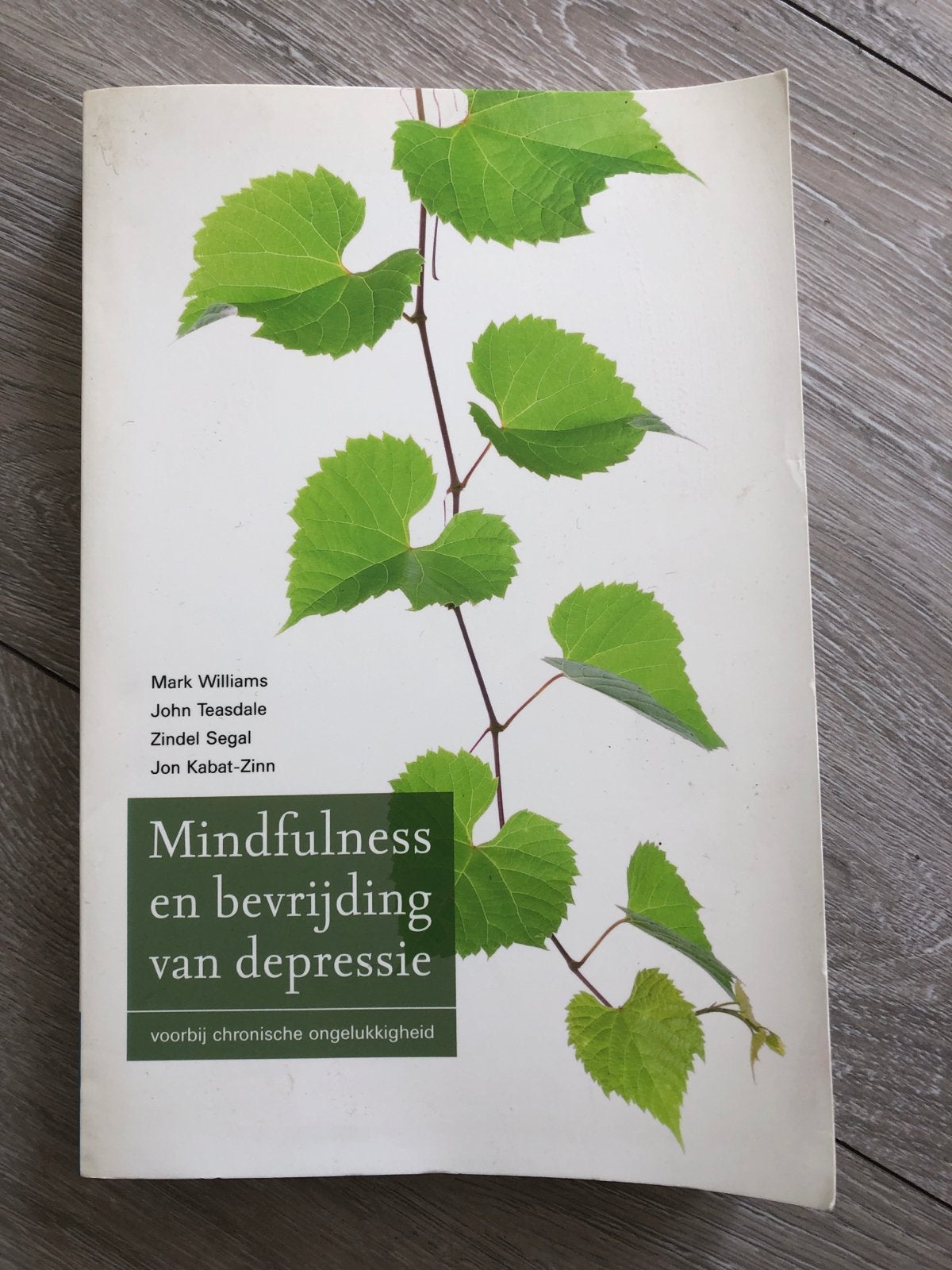 Mindfulness en bevrijding van depressie - Mark Williams, Boeken, Ophalen of Verzenden, Gelezen, Klinische psychologie