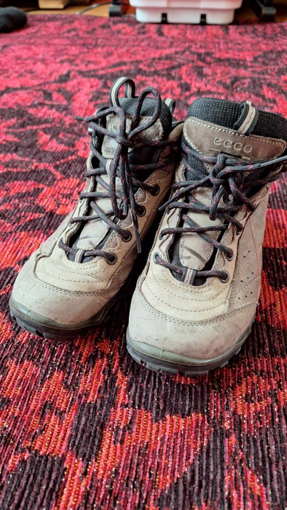 Ecco wandelschoenen gore-tex 37, Ophalen of Verzenden, Gebruikt, Schoenen