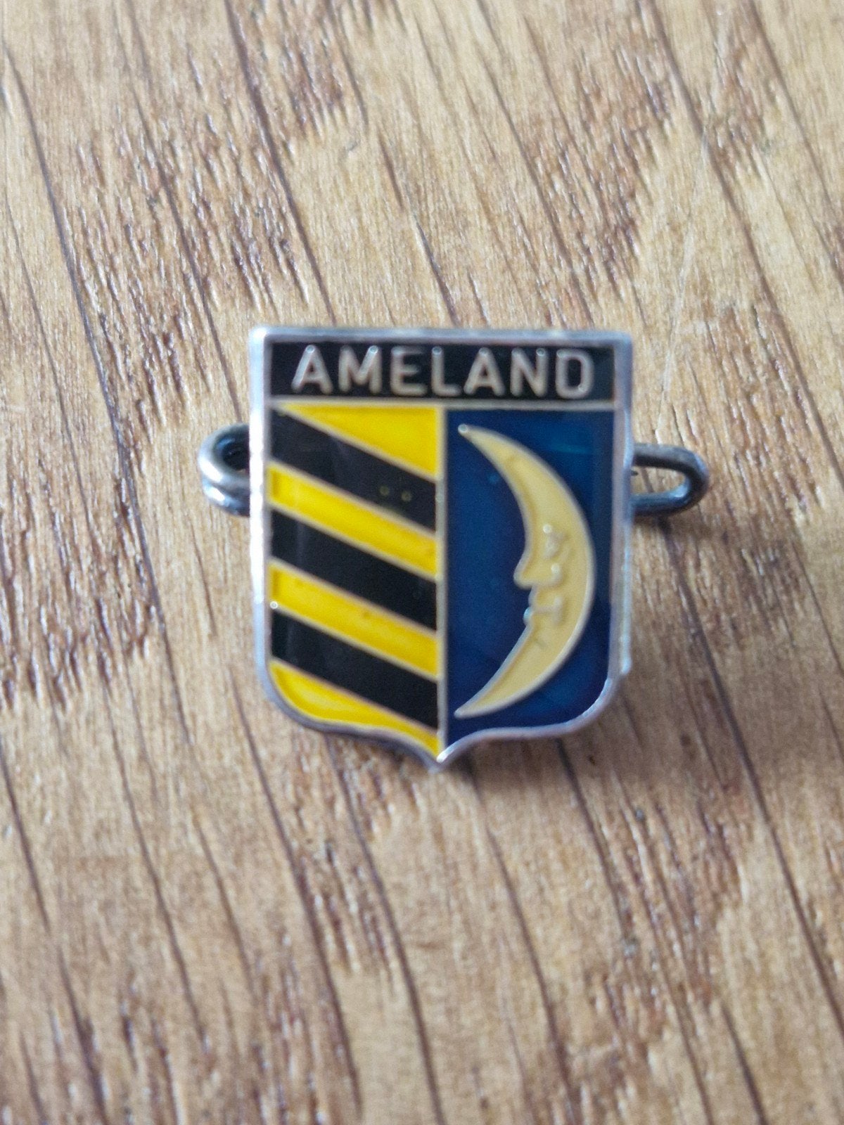 Vintage Ameland Speldje - Wapen van Ameland, Ophalen of Verzenden, Gebruikt, Stad of Land, Speldje of Pin