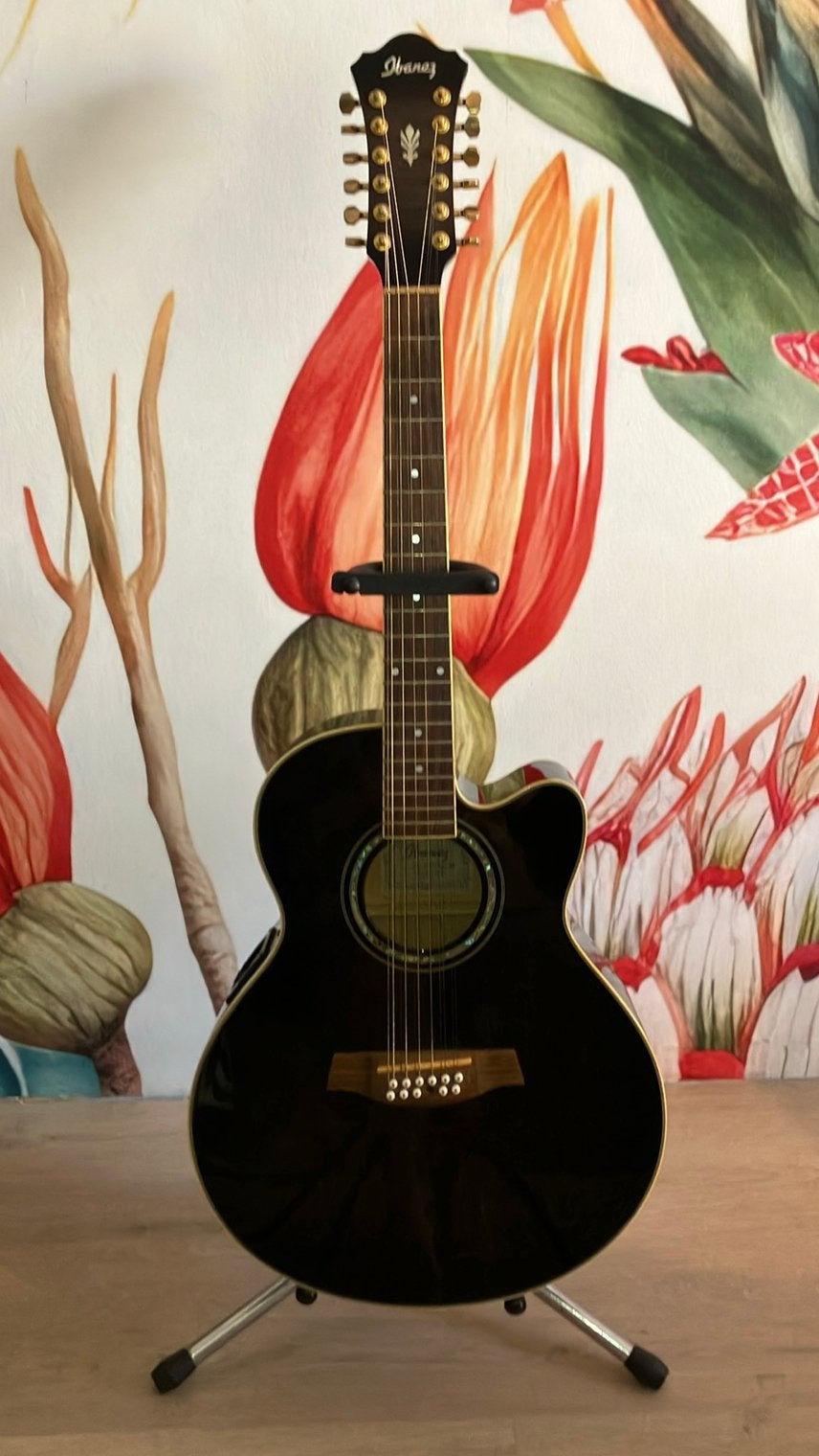 Ibanez AEL2012TKS1201 12-snarige electroakoestische gitaar, Ophalen, Gebruikt, Western- of Steelstringgitaar, 12-snarig