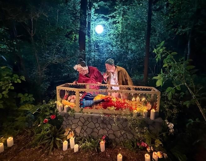 Sneeuwwitje & de Zeven Dwergen – Kostuums en Decoratie, Ophalen, Nieuw, Overige