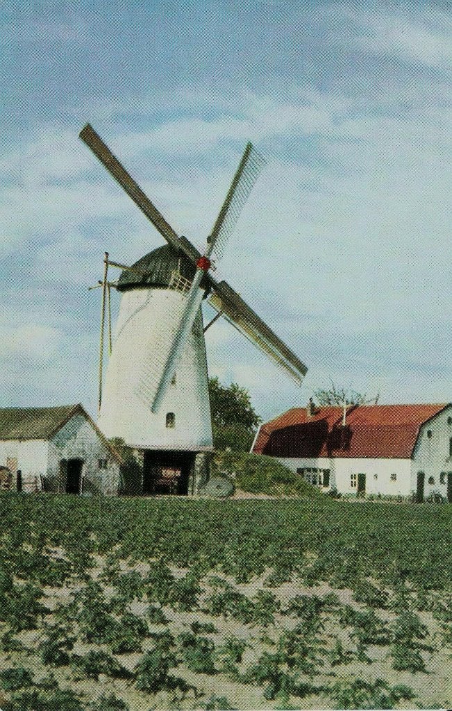 Didam molen ca. 1960, Ophalen of Verzenden, 1960 tot 1980, Ongelopen, Gelderland