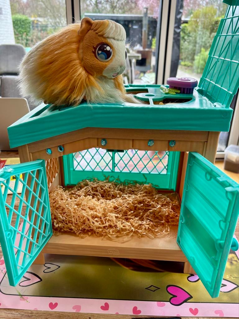 Little Live Pets Cavia met hokje, Ophalen, Zo goed als nieuw, Jongen of Meisje