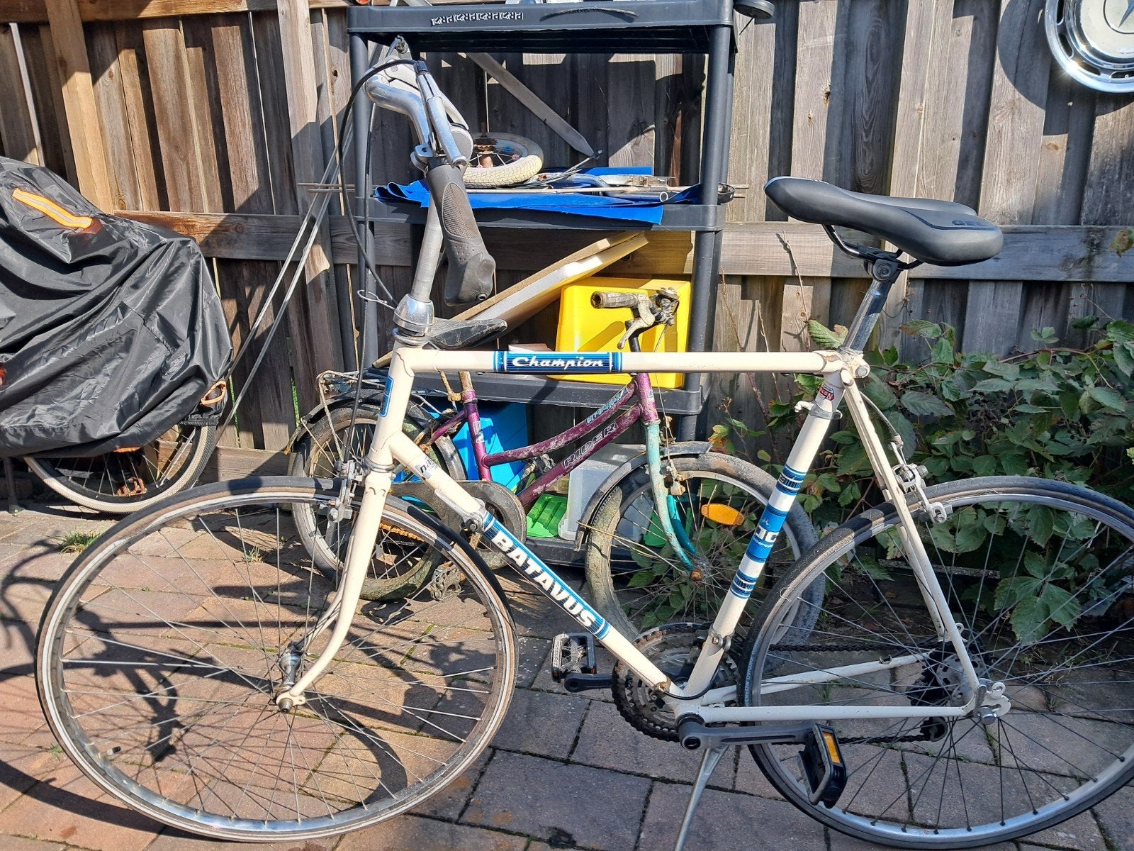 2 batavus fietsen, Ophalen, Gebruikt, Velgrem, Batavus