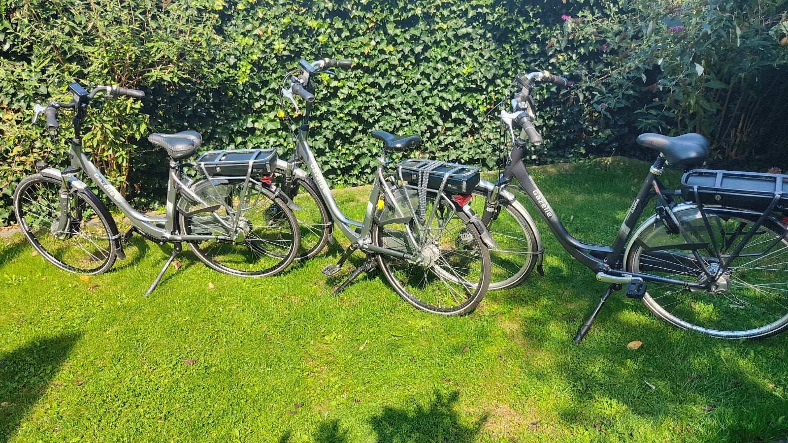 3 Mooie Gazelle Orange Elektrische Fiets Panasonic, Ophalen of Verzenden, Gebruikt