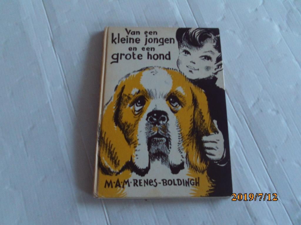 van een kleine jongen - m.a.m. renes-boldingh - vd hulst, Ophalen of Verzenden, Gelezen, Fictie algemeen