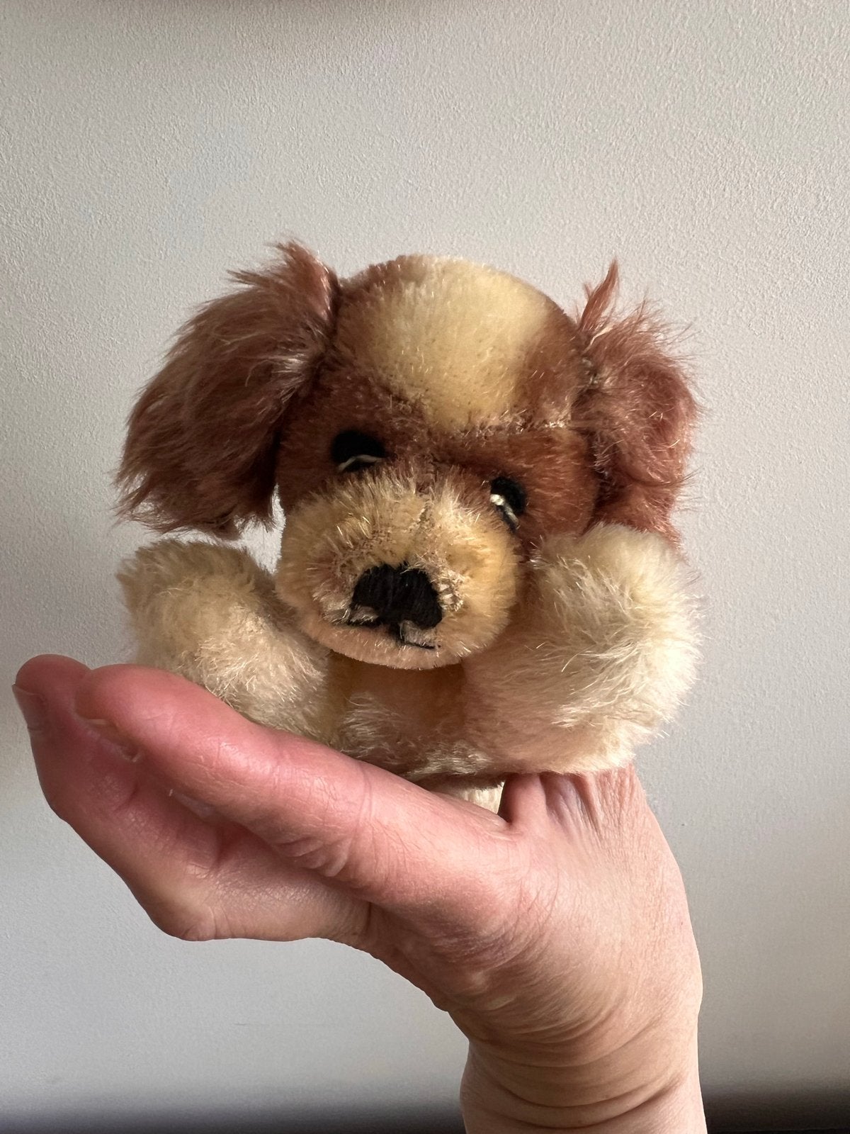 Steiff Slaapdier Floppy Cockie - Superzacht en 17 cm lang, Antiek en Kunst, Ophalen of Verzenden