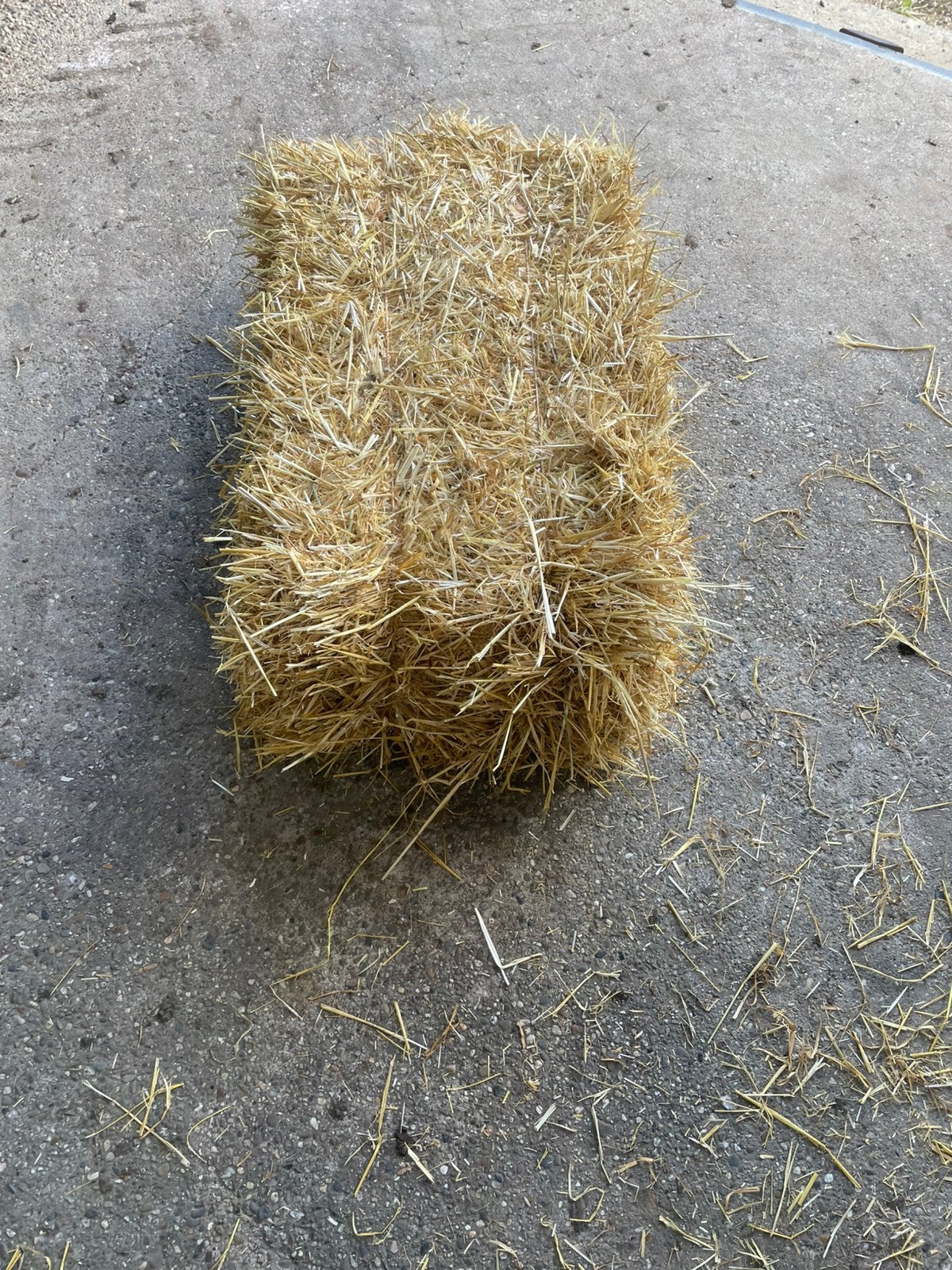 Gerstestro, Dieren en Toebehoren, Ophalen of Verzenden, Vee