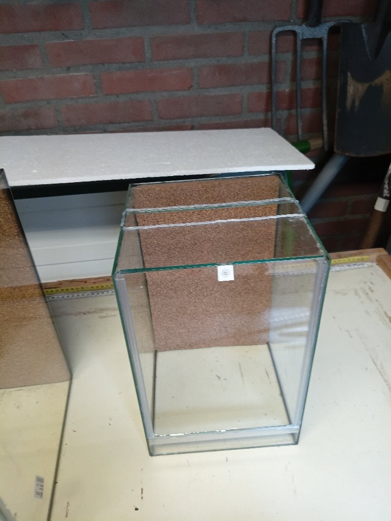 insecten bak, Dieren en Toebehoren, Overige soorten