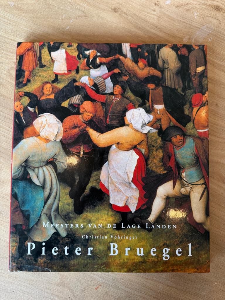 Meesters van de Lage Landen: Pieter Bruegel, Ophalen of Verzenden, Zo goed als nieuw, Schilder- en Tekenkunst