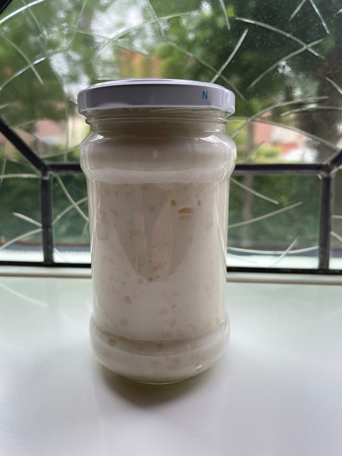 Verse kefir korrels, Diversen, Levensmiddelen, Ophalen