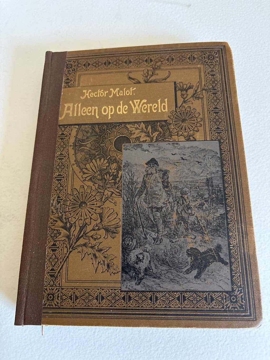 Alleen op de Wereld - Hector Malot (6e druk, 1903), Boeken, Ophalen of Verzenden, Gelezen, Nederland