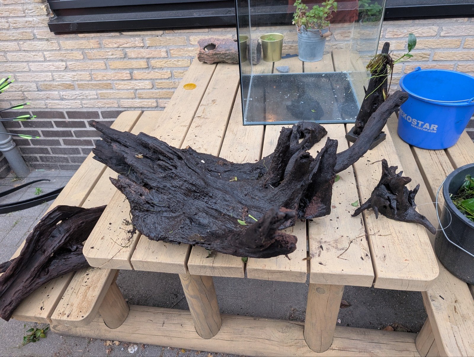 Groot stuk kienhout decoratie aquarium te koop kopen, Ophalen, Plant(en), Steen of Hout