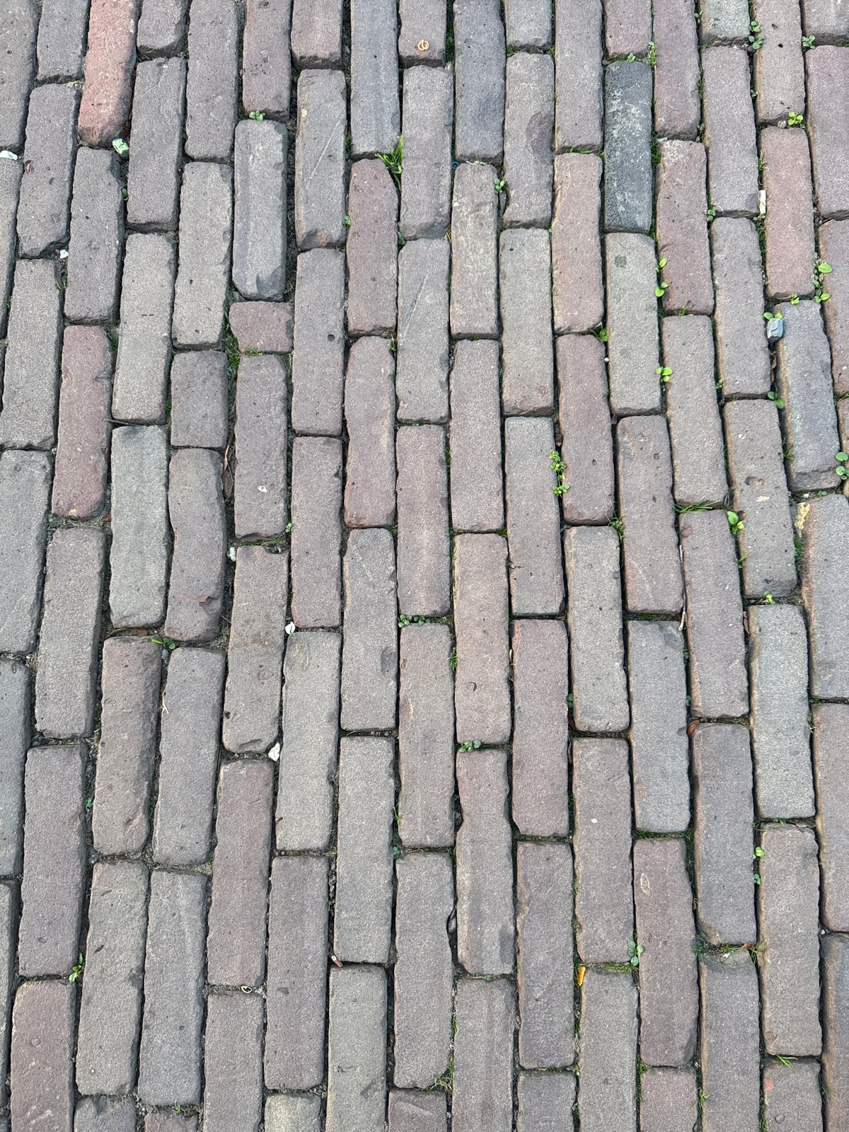 Oude gebakken waalformaat, Ophalen, Overige materialen, Gebruikt, Klinkers